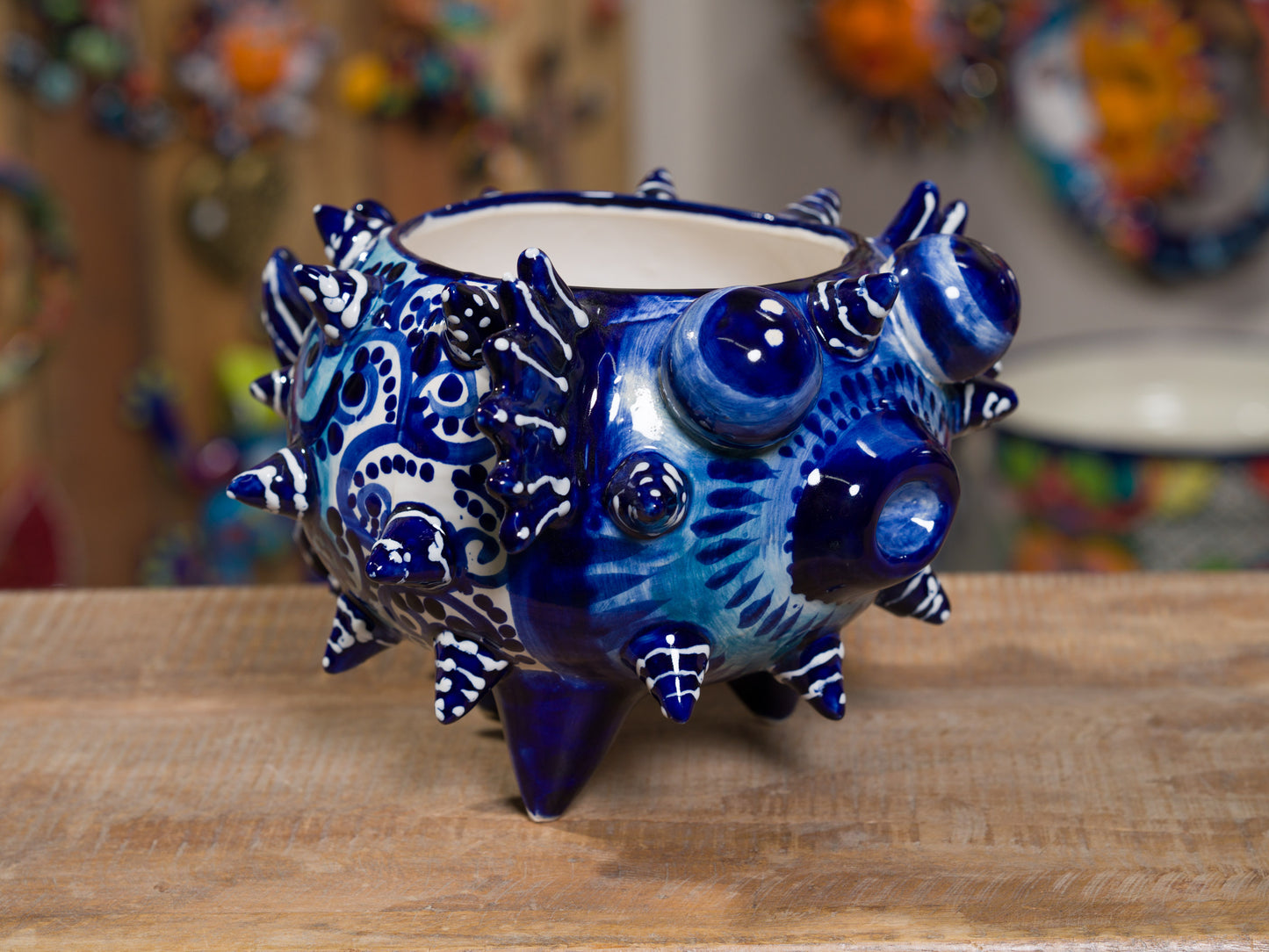 Premium Quality Rare Medium Blowfish Planter