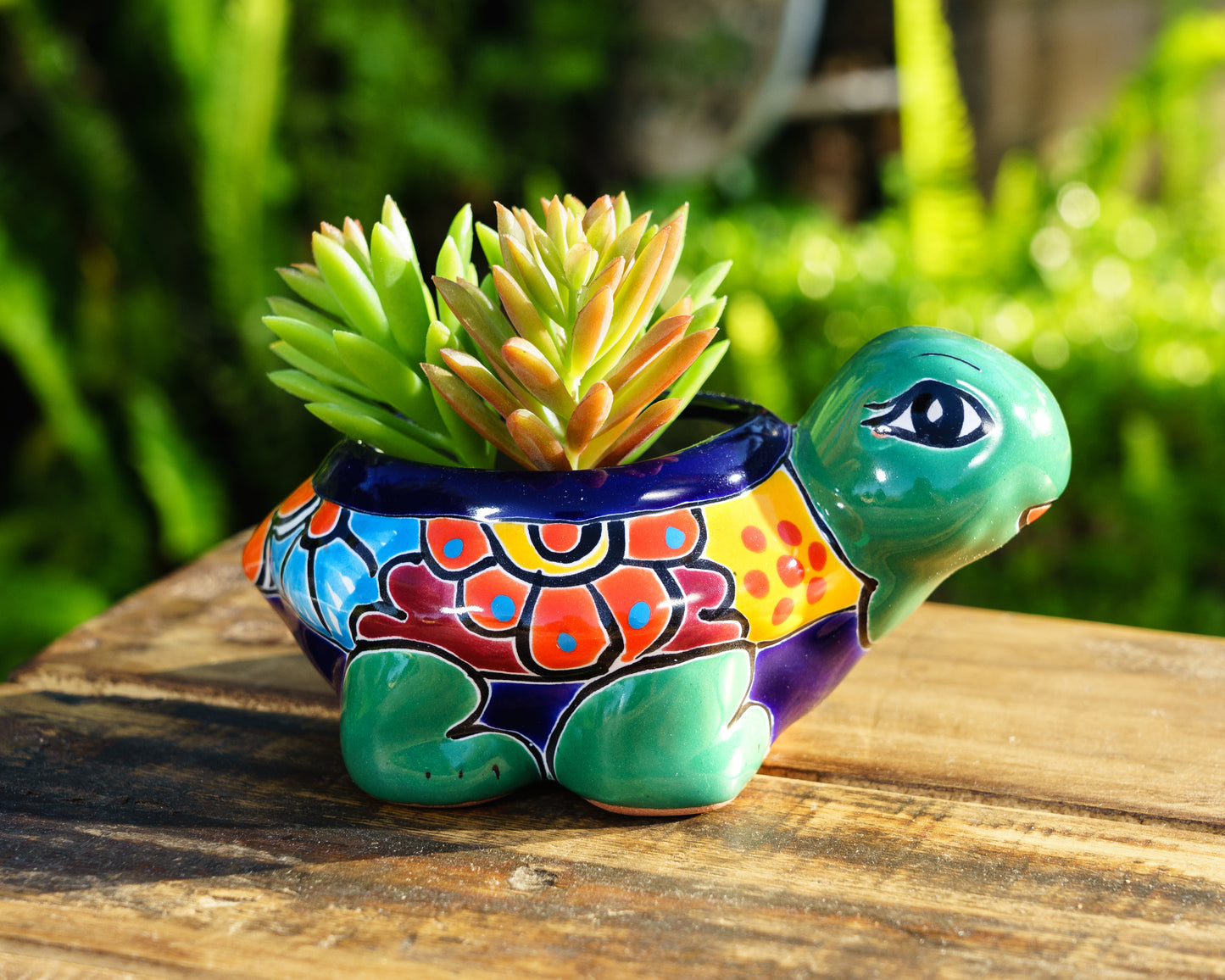 Turtle Mini Planter - Deep Green