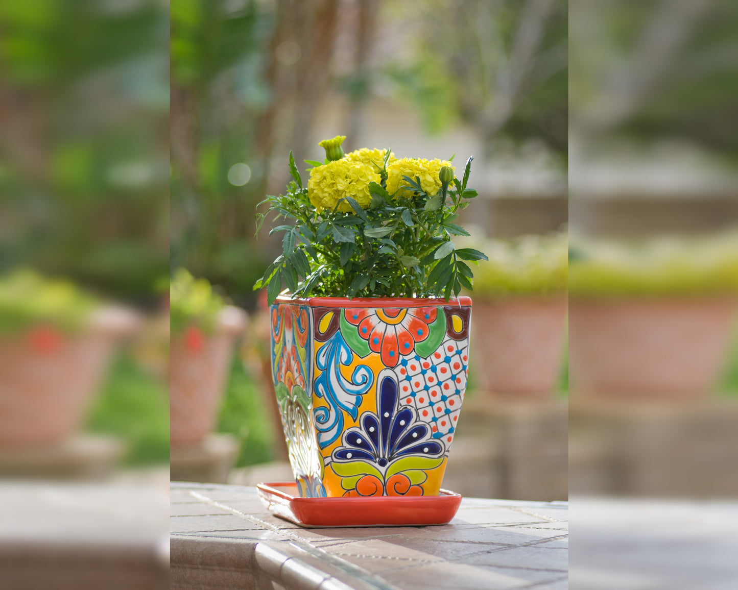 Tall Taper Planter w Saucer - Red