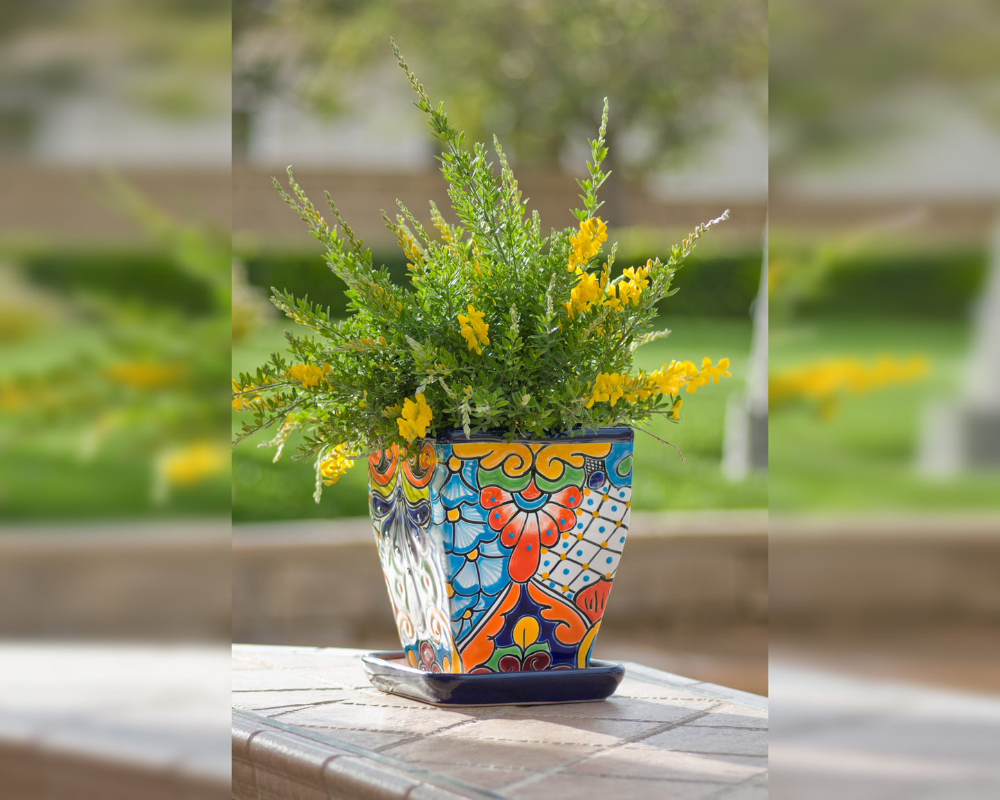 Tall Taper Planter w Saucer - Cobalt