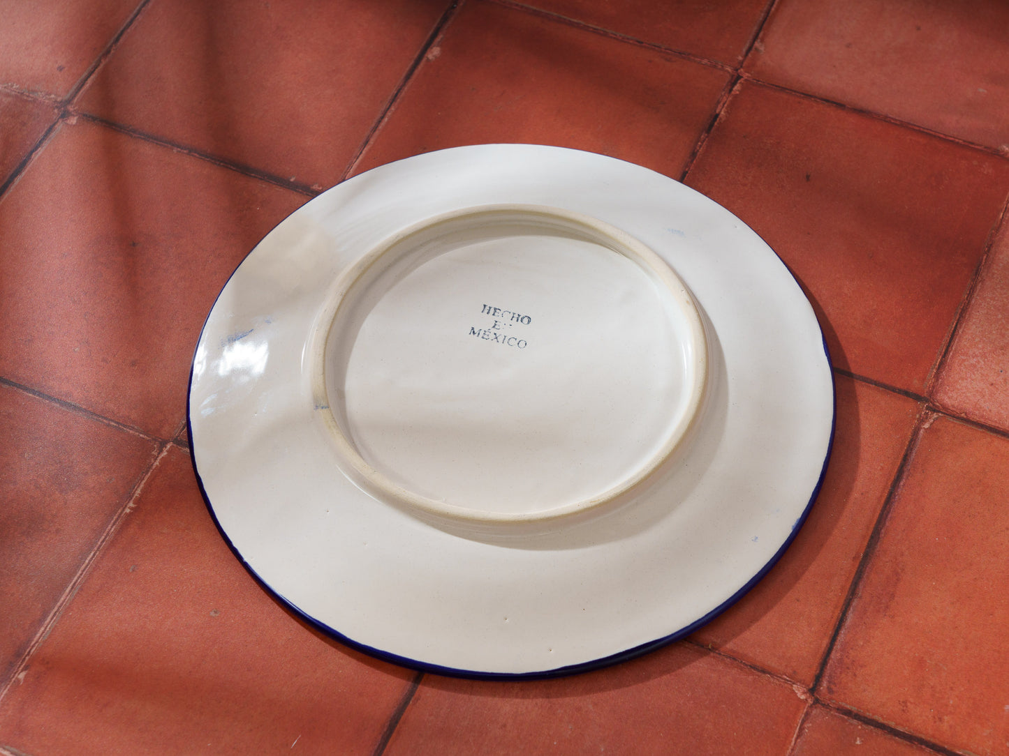 Plate - Multi-Color - Medium - (1PC)