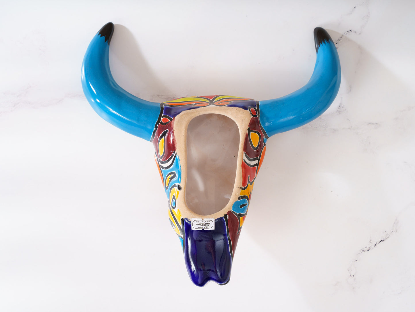 Bull Skull - Wall Art - Medium - Turquoise Horns