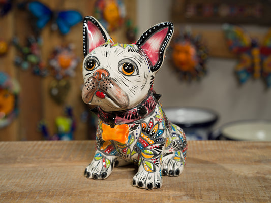 Premium Quality French Bulldog - Tenango