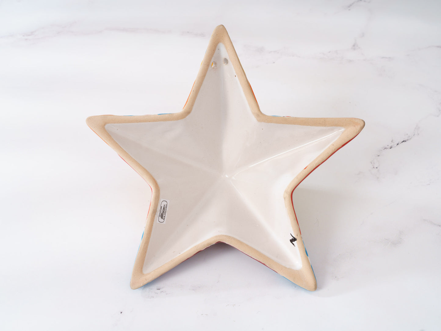 Star Starfish - Medium - Wall Art