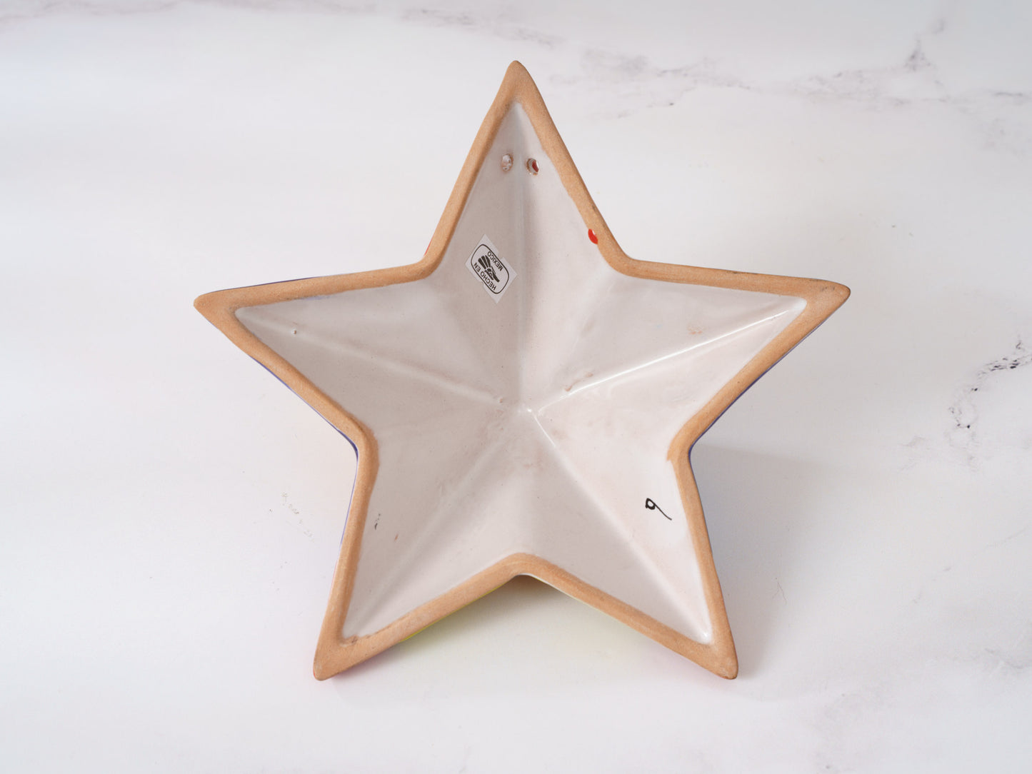 Star Starfish - Small - Wall Art