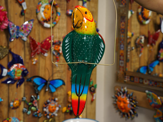 Hanging Parrot Bird  With Perch - Large