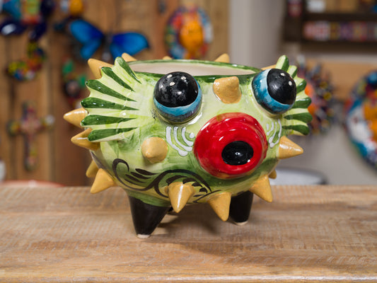 Premium Quality Rare Medium Blowfish Planter