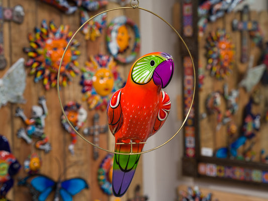 Hanging Parrot Bird  With Perch - Medium