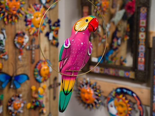 Hanging Parrot Bird  With Perch - Medium