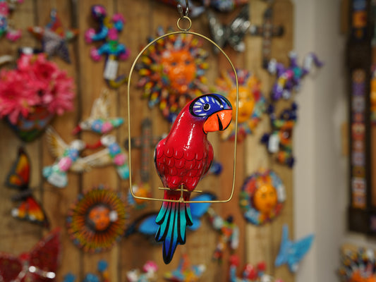 Hanging Parrot Bird With Perch - Small