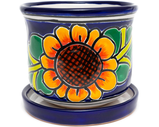 Circular Planter - Small (2PC) - Sunflower