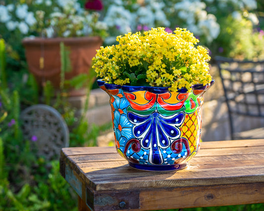 Scalloped Planter - Large - Cobalt