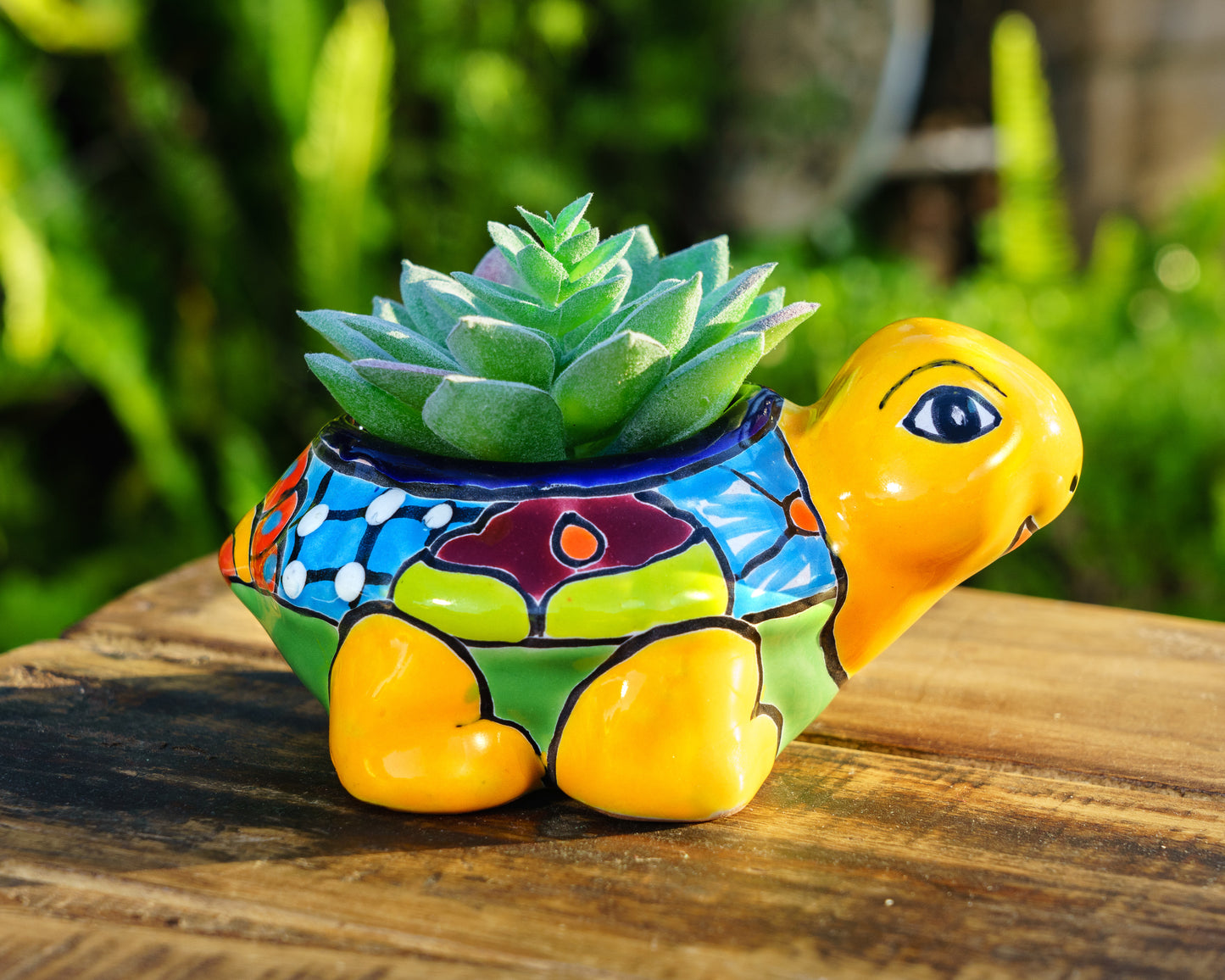 Turtle Mini Planter - Marigold