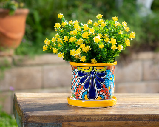 Circular Planter - Small (2PC) - Marigold