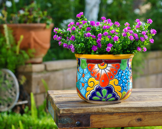 Circular Planter - Large (1PC) - Marigold