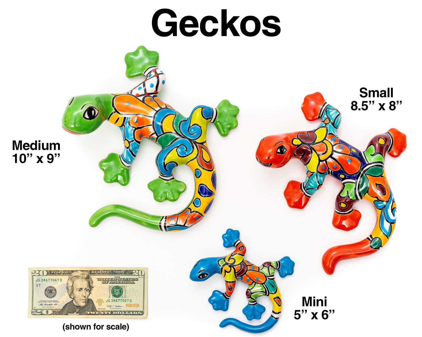 Gecko - Medium - Turquoise